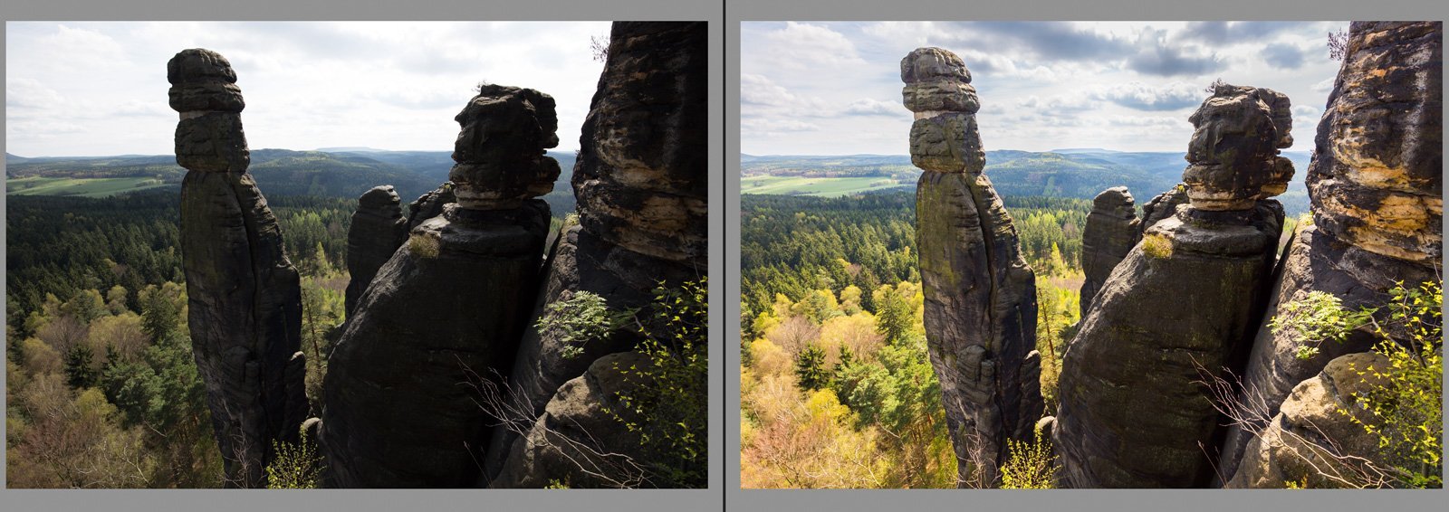RAW vs JPEG