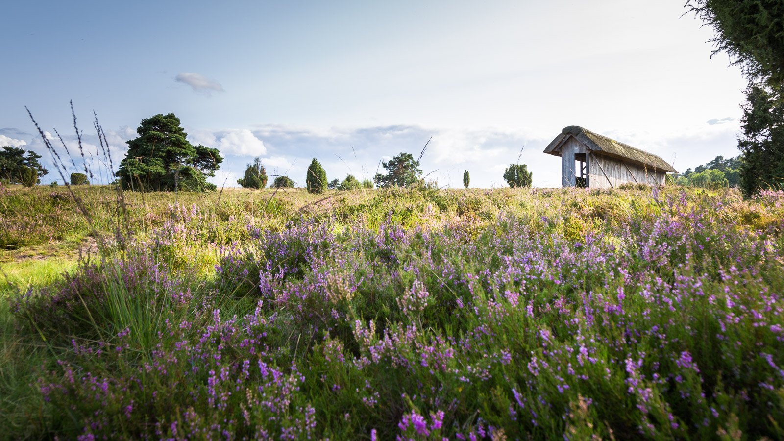 Landschaftsbilder in der Lüneburger Heide