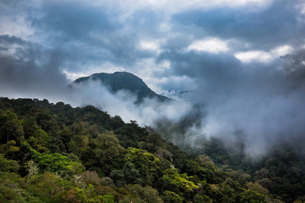 Wolken über dem Dschungel fotografiert