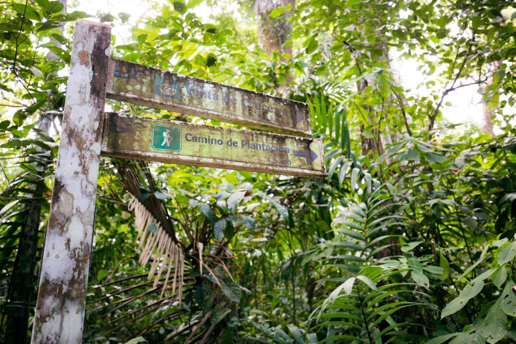 Verwitterte Wegweiser im Soberania Nationalpark
