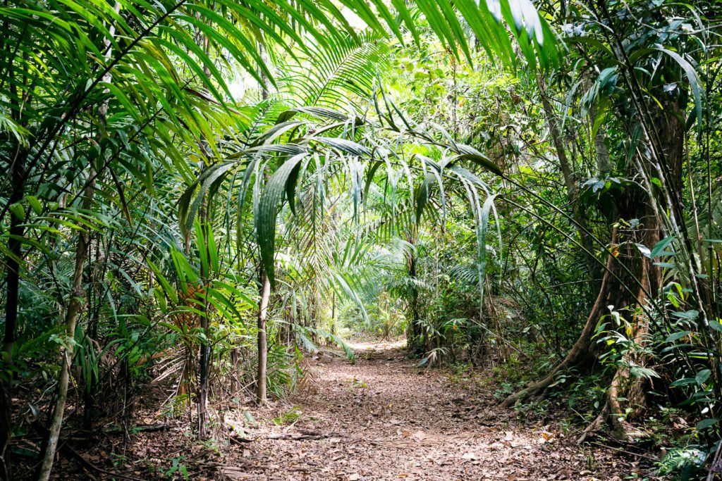Las Cruzes Trail ist nicht mehr begehbar