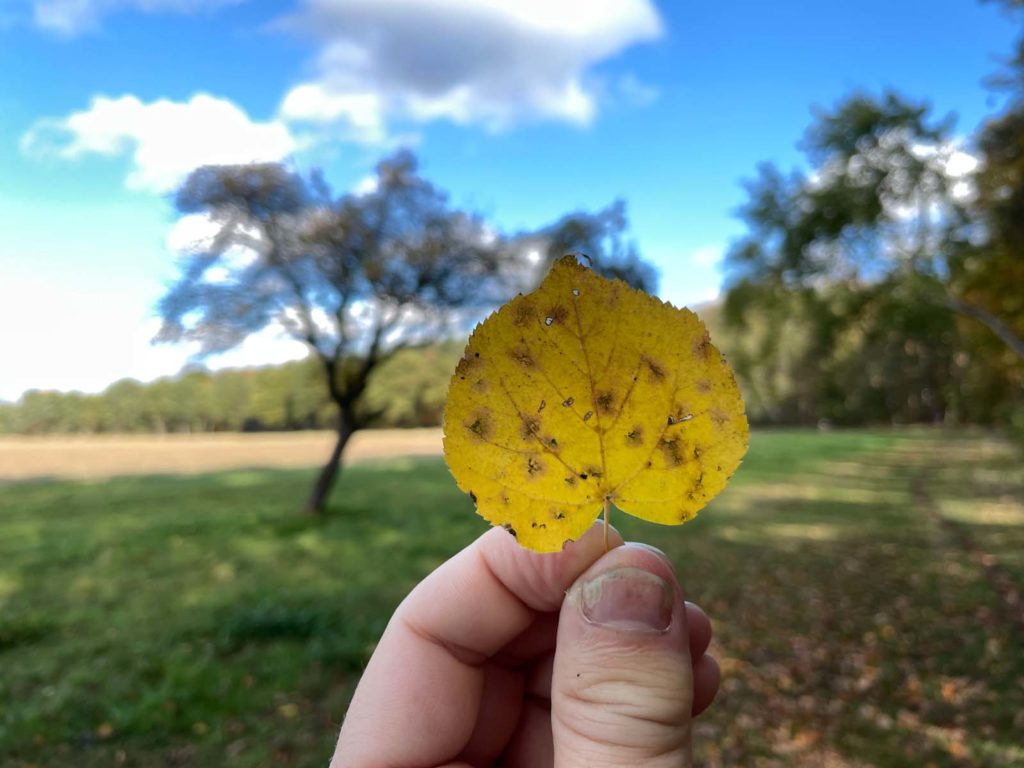 iPhone 12 Pro Kamera Test