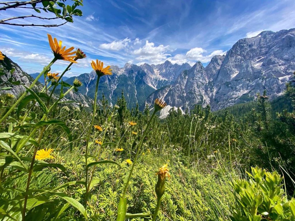 Reiseziel im Juli: Slowenien