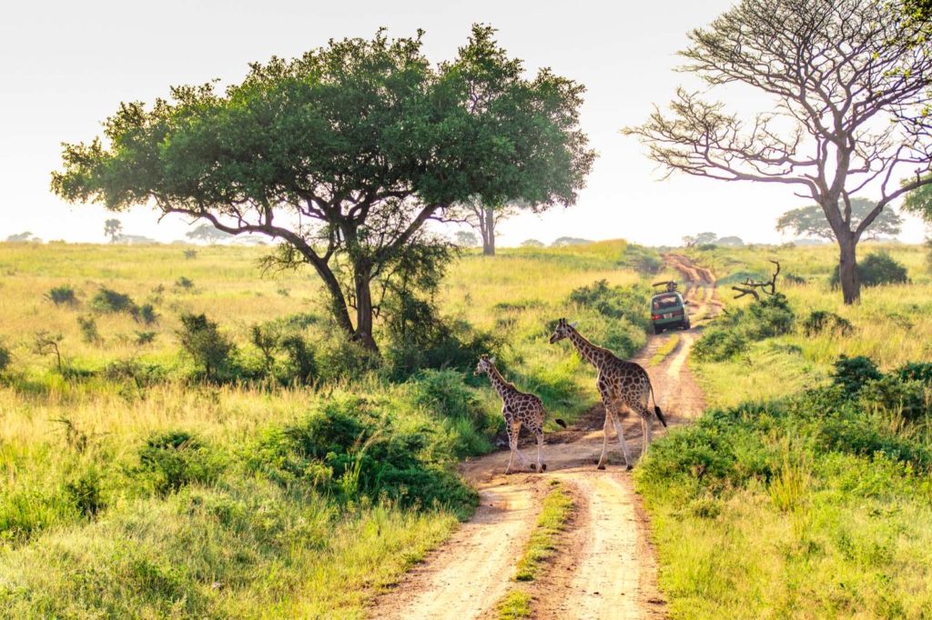 Uganda Reise im Juli