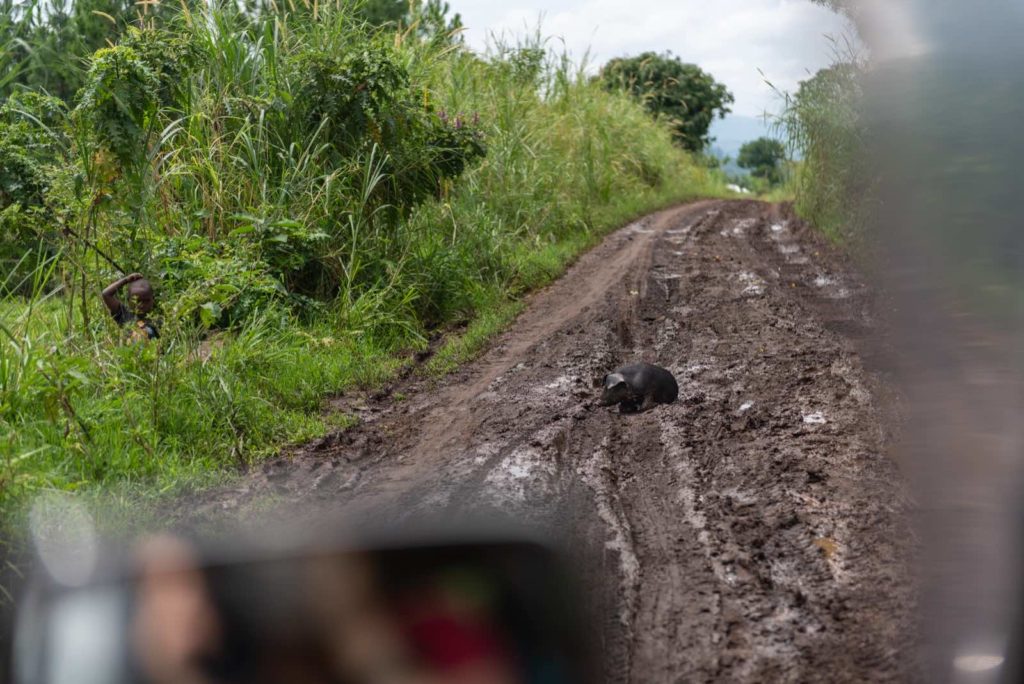 Uganda Straßenverhältnisse