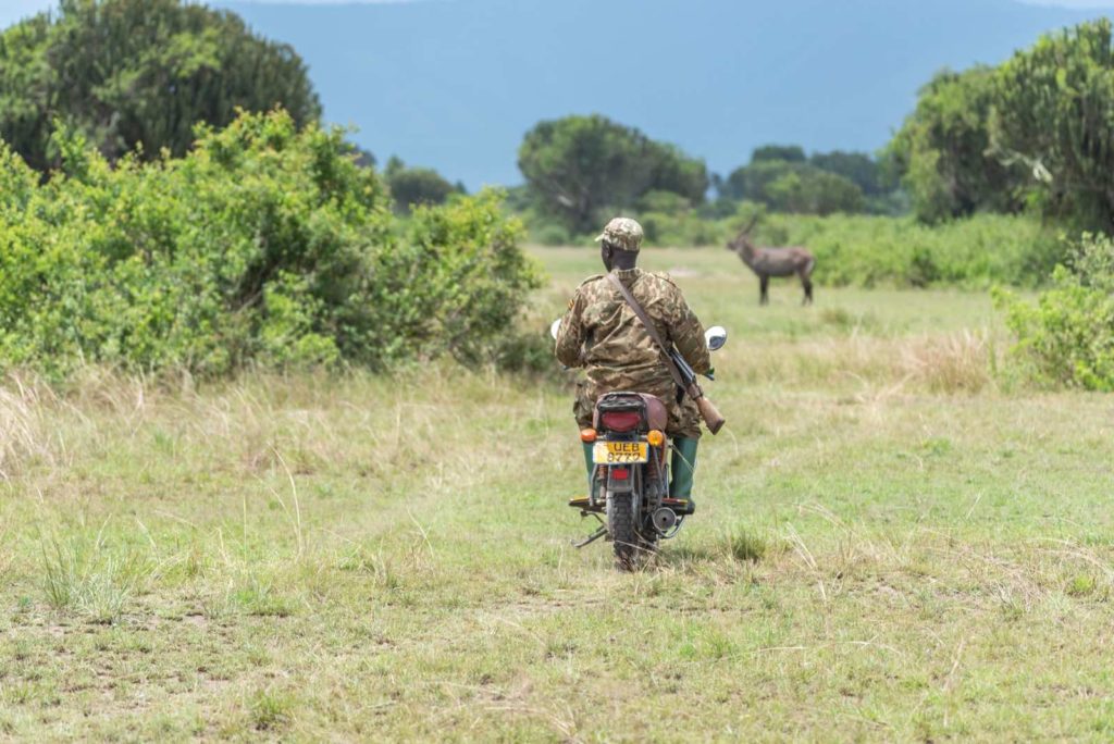 Kasenyi Plains Ranger