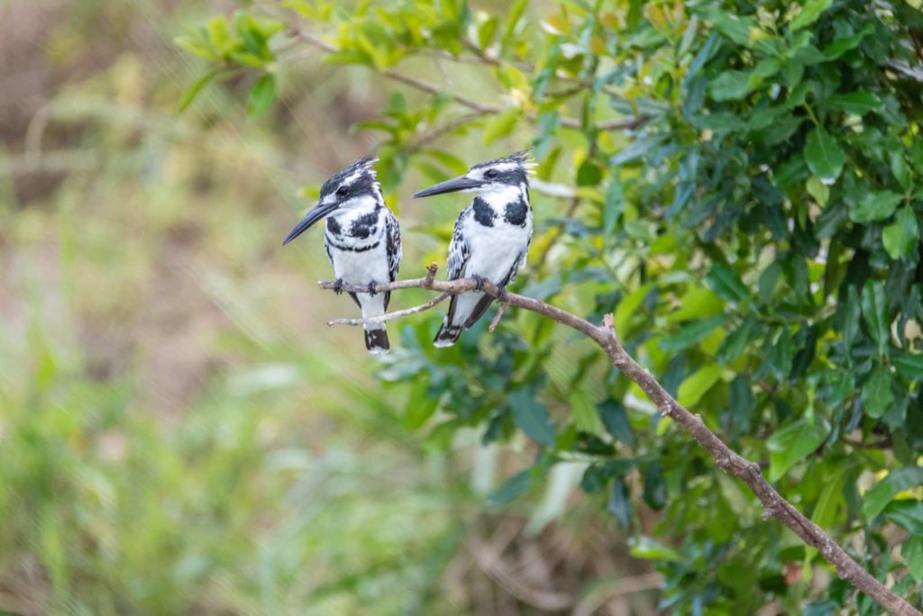 Uganda Reise