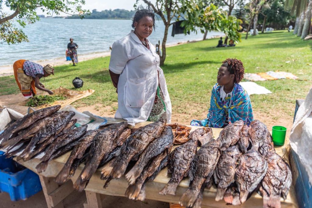Uganda Lake Victoria