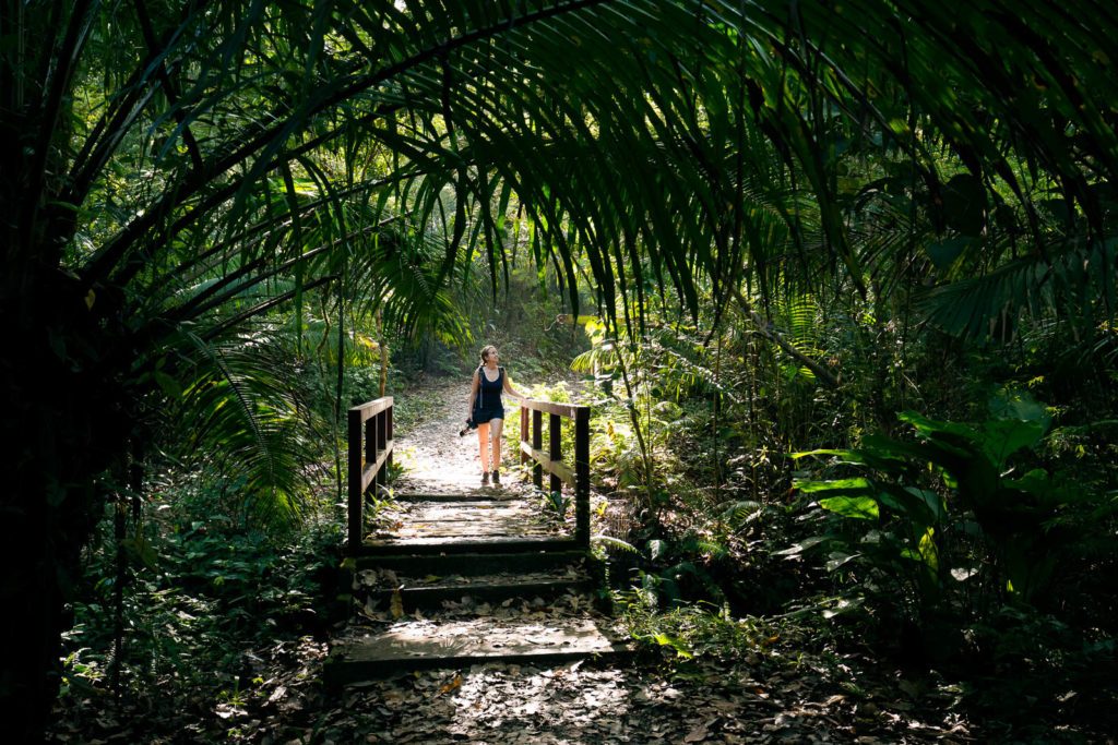Beste Nationalparks Panama