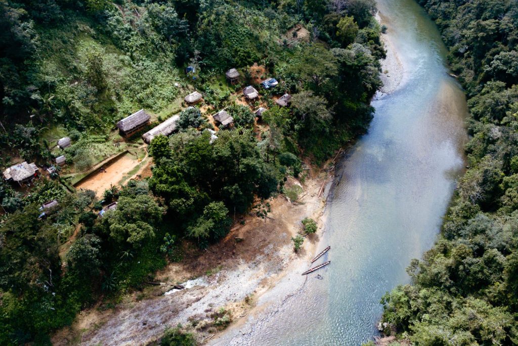 Panama Sehenswürdigkeiten Dschungel