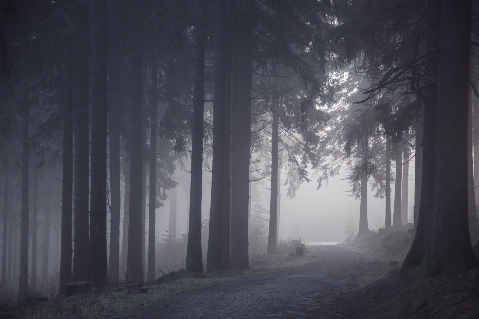 Landschaften bei Bewölkung fotografieren